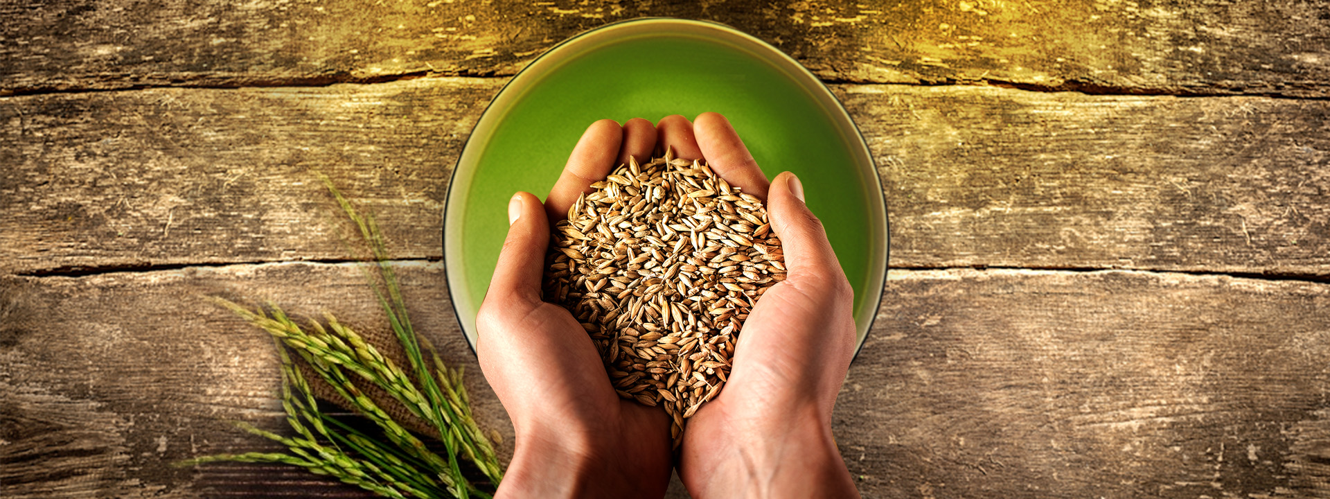 Formed Food grain banks